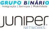 Binário